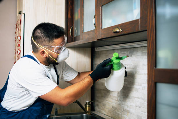 Best Commercial Pest Control Services  in Morganville, NJ